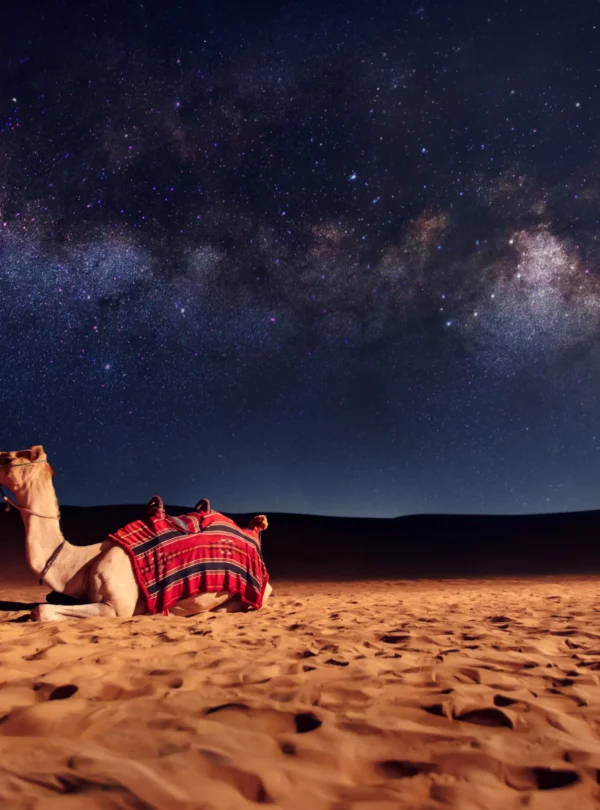 7o572m9mrn5x0193bm1o0gtvj9h0_yalft4j8s1vs6qu7ije3rbacciph_shutterstock_1227043660